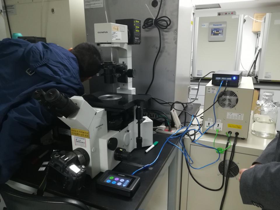 IS系列熒光顯微鏡LED多波段定制激發光源