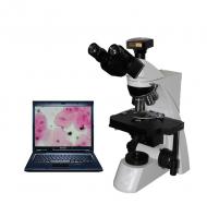 BL-160Z科研級三目攝像生物顯微鏡