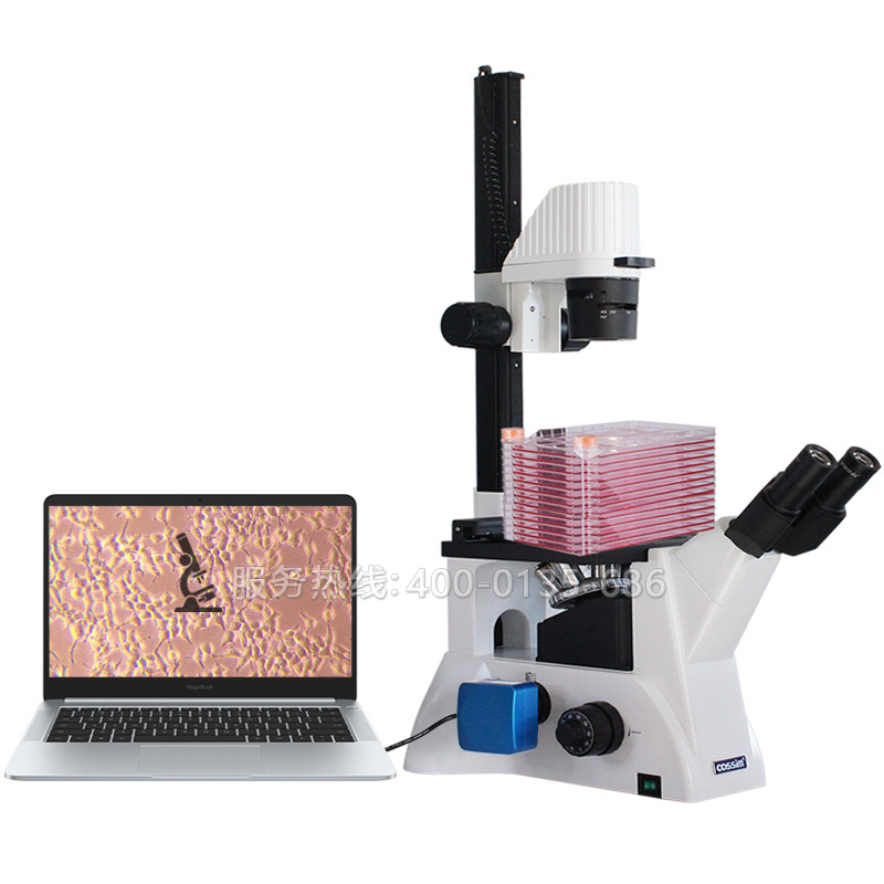 BLD-220CF 細胞工廠顯微鏡長工作距離倒置生物顯微鏡